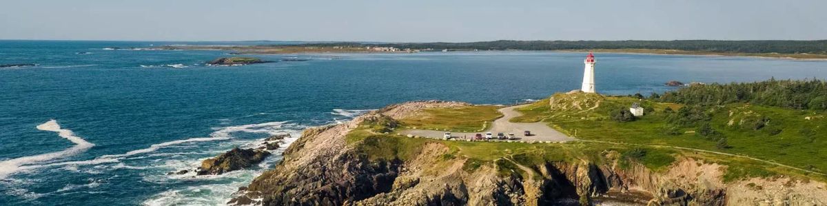 CANSEE December Newsletter: SAVE THE DATE announcement