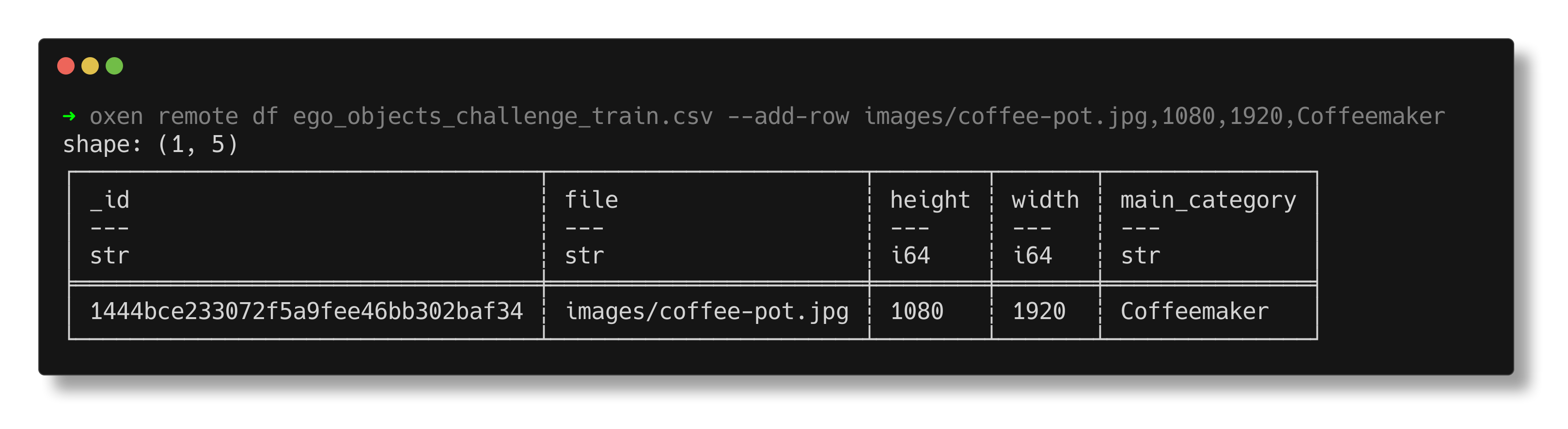 Terminal output showing one row as the result of passing the --add-row flag