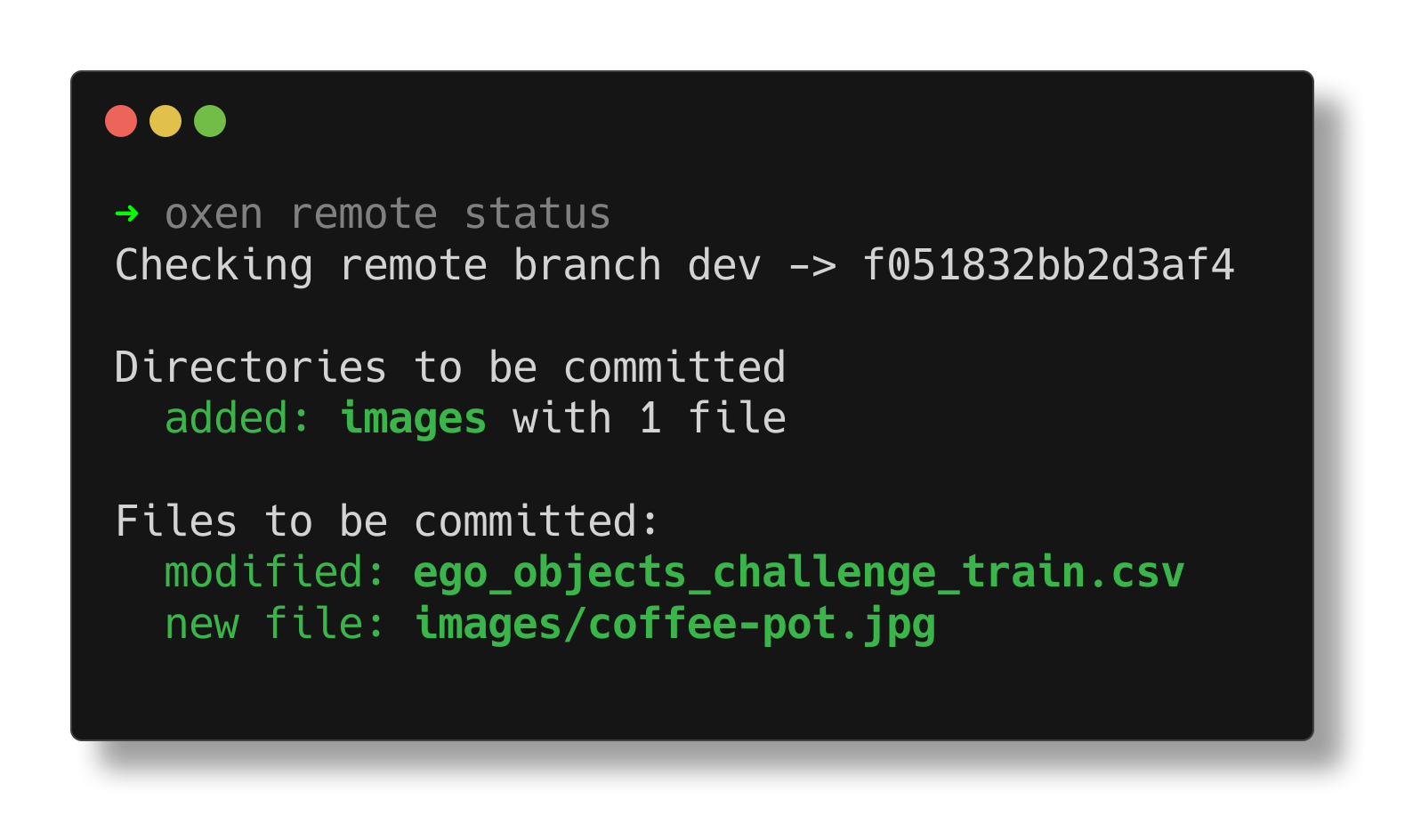Terminal output showing 1 added image, 1 modified dataframe ready for pushing to Oxen
