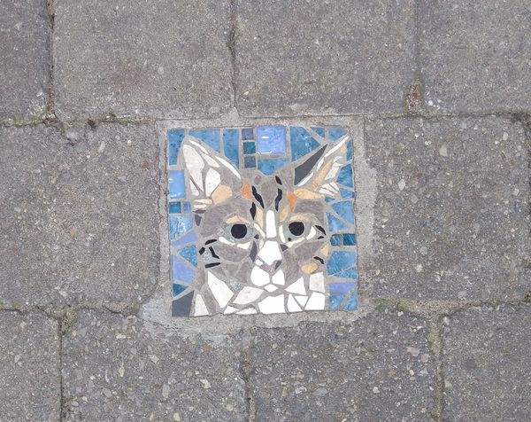 Friendmendations 9.14.20