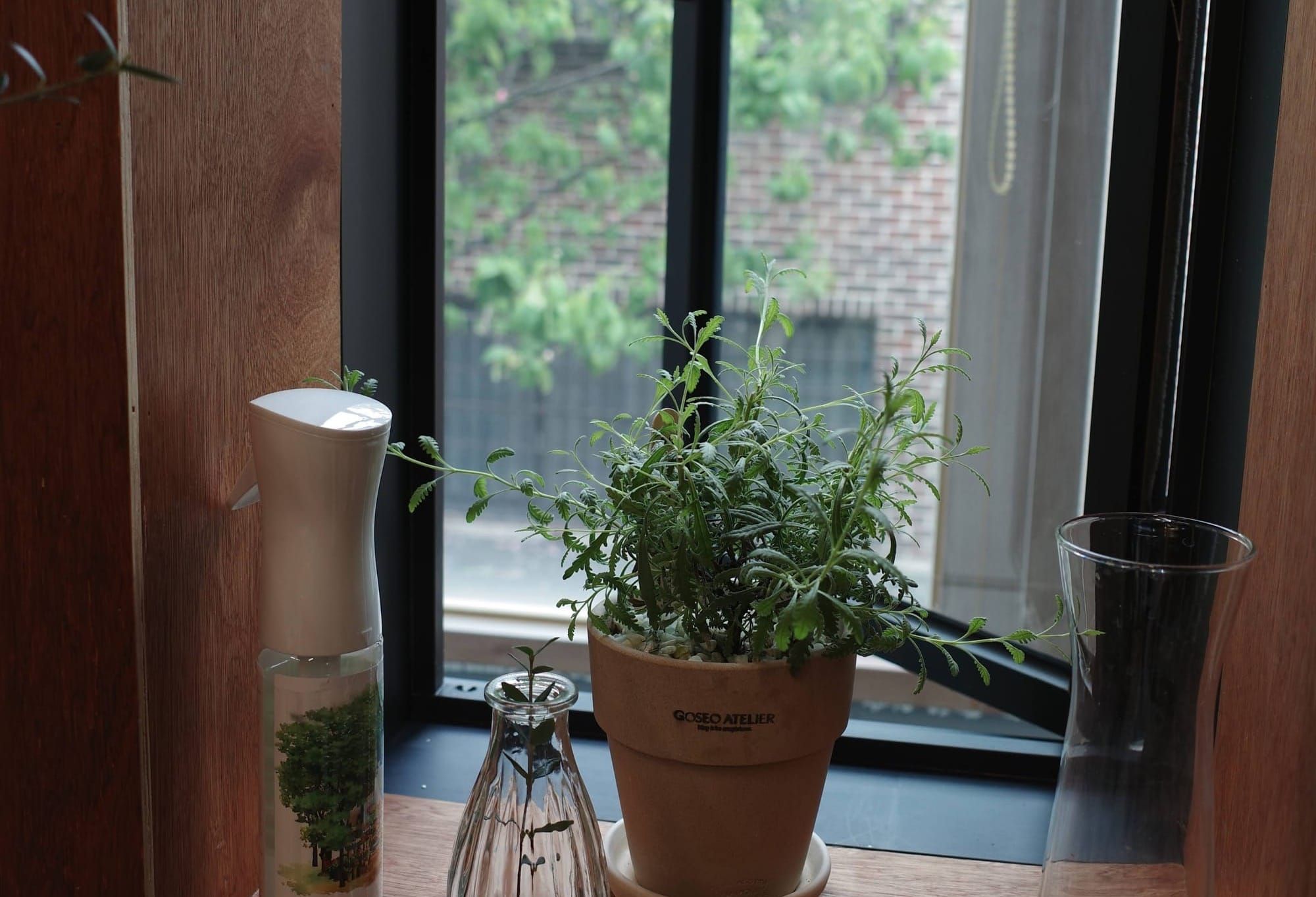 첫 사무실에서 보이던 창 밖...