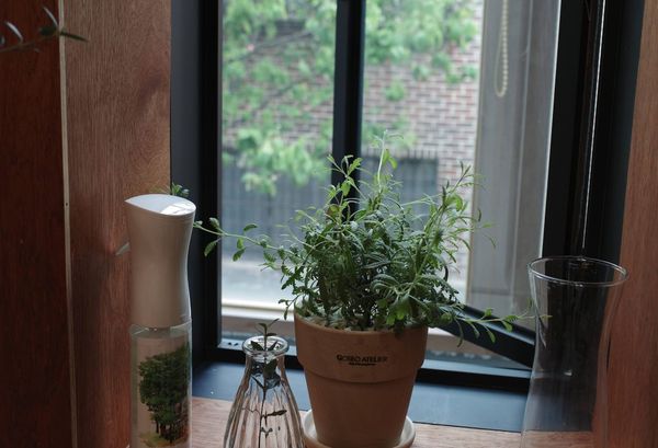 첫 사무실에서 보이던 창 밖...