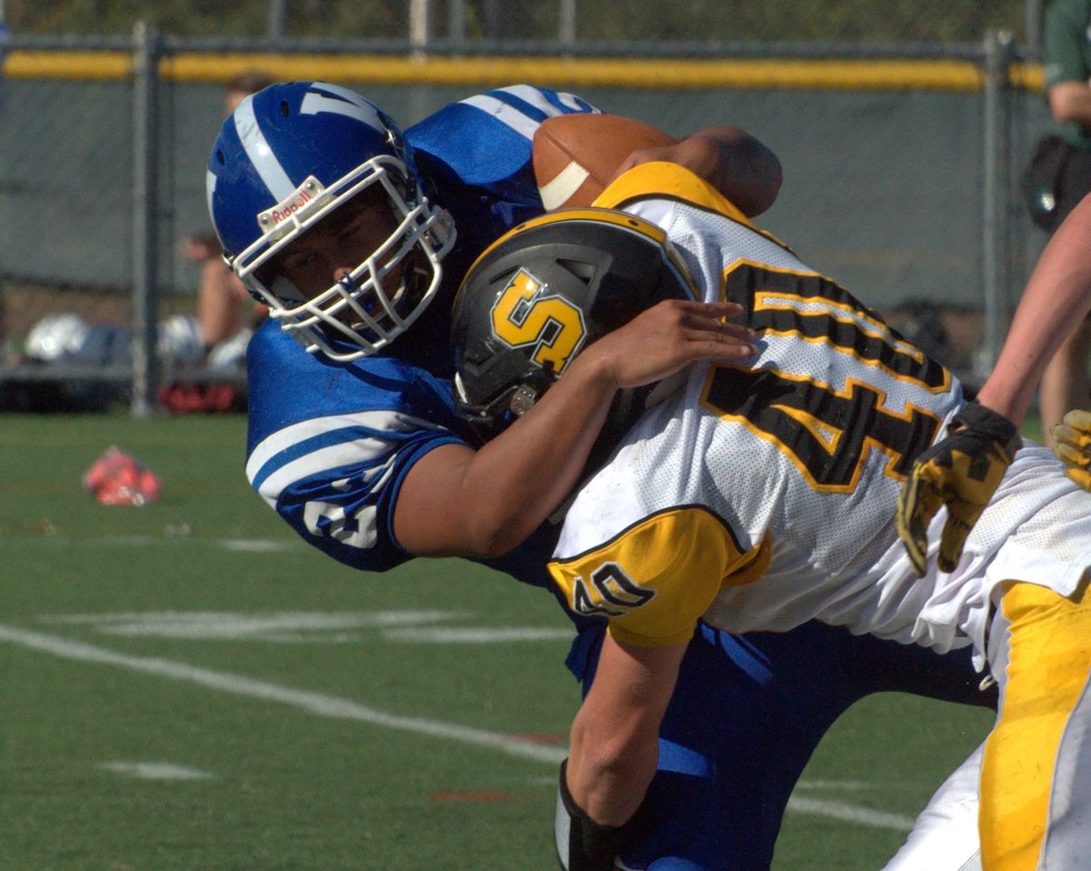 Playoff Picture: Division II football