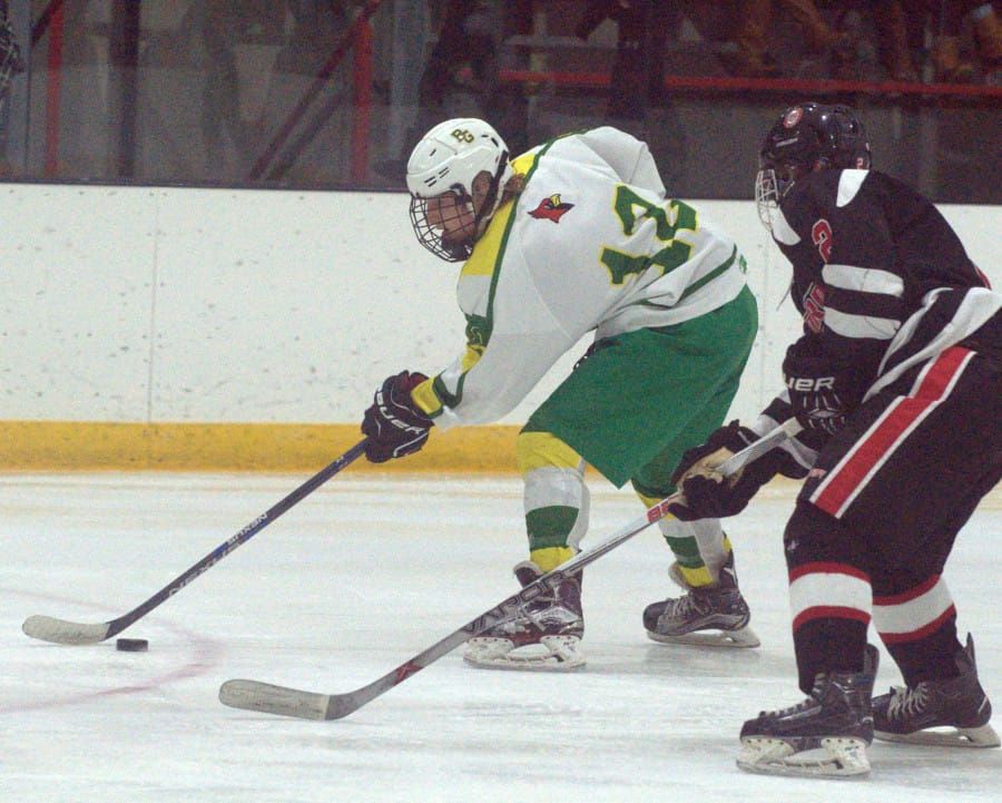 Boys hockey rankings for Feb. 20