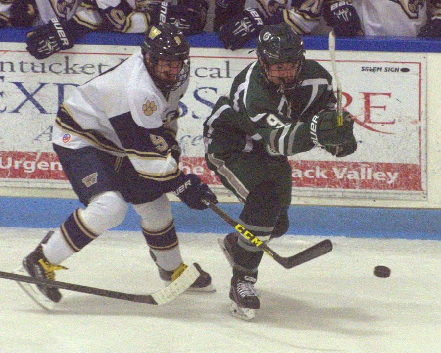 Playoff Picture: Division II boys hockey (Jan. 30)