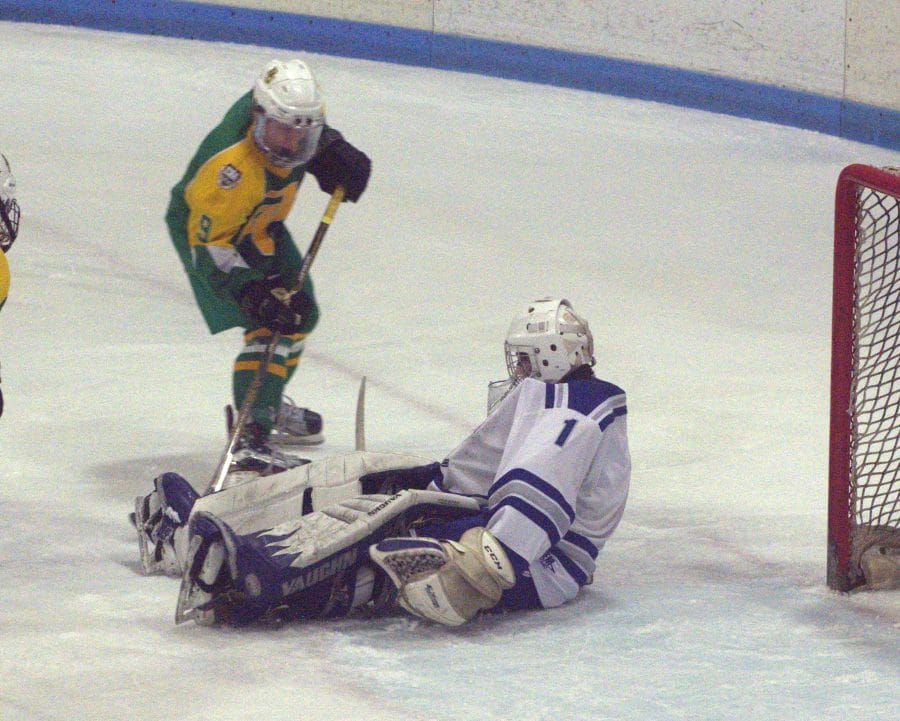 Playoff Picture: Division I boys hockey (Feb. 20)