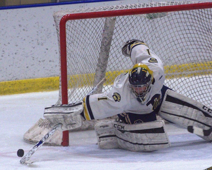 Playoff Picture: Division II boys hockey (Feb. 22)