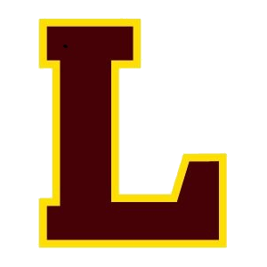 Lebanon boys basketball pulls away in fourth quarter to beat Laconia, advance to D2 final