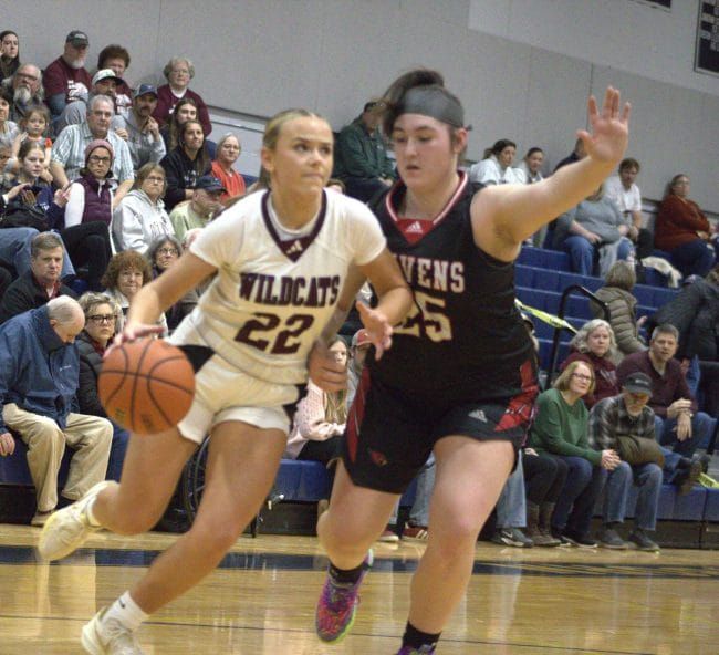 Fall Mountain girls basketball shuts down Stevens to reach D3 title game
