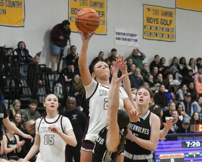 Fall Mountain cruises past Prospect Mountain in D3 girls basketball semis (video)