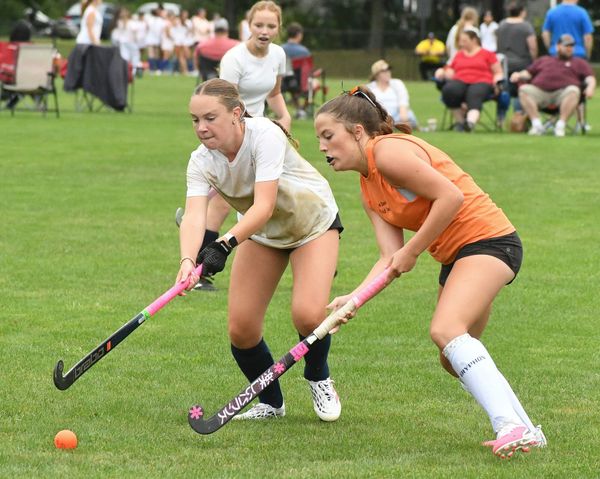 Familiar faces looking to lead top teams in D2 field hockey