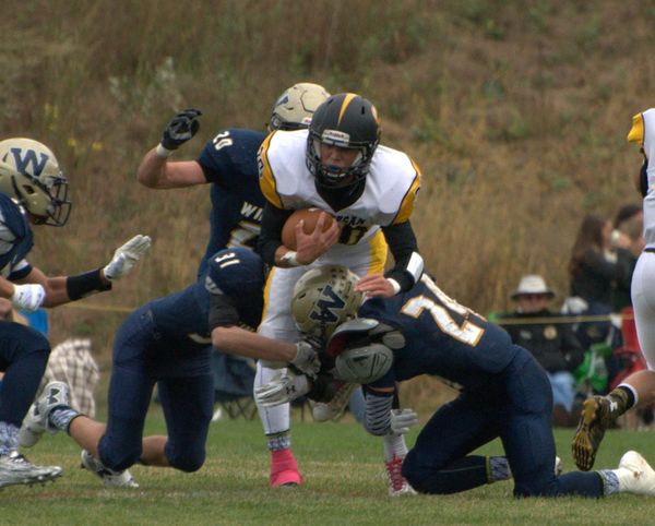 Playoff Picture: Division II football