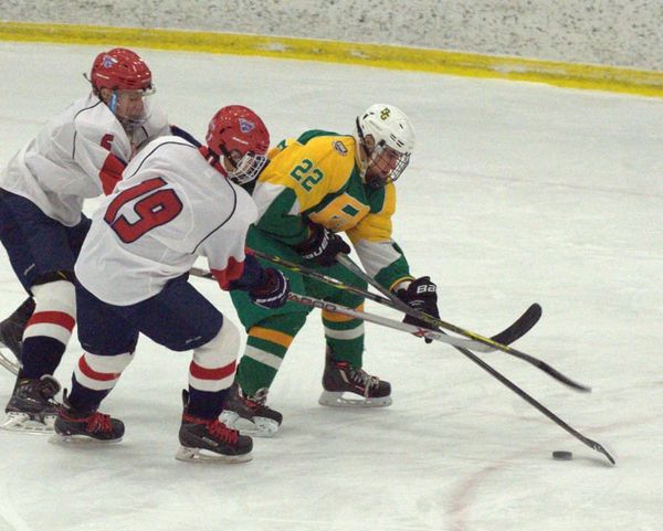 Boys hockey rankings for Jan. 15
