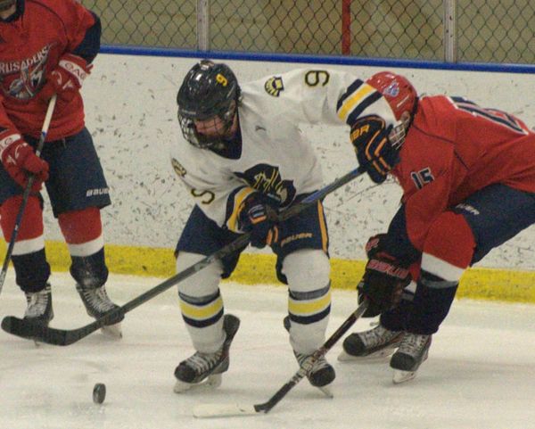Boys hockey rankings for Jan. 30