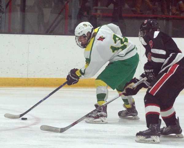 Boys hockey rankings for Feb. 20