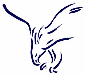 Around the Granite State: Exeter girls basketball wraps up with win over Manchester Central-West