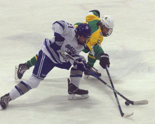 Playoff Picture: Boys and girls hockey (Jan. 17)