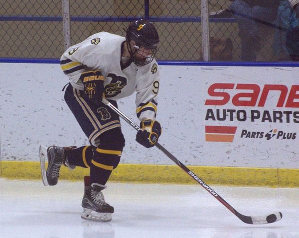 Playoff Picture: Boys and girls hockey