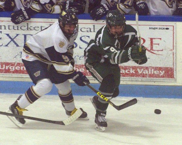 Playoff Picture: Division II boys hockey (Jan. 30)