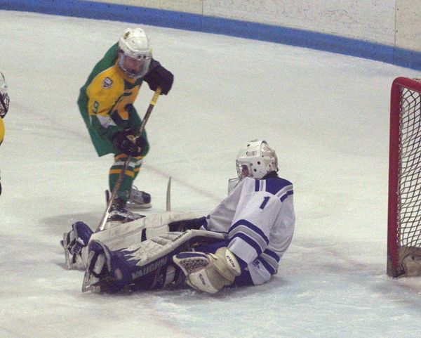 Playoff Picture: Division I boys hockey (Feb. 20)