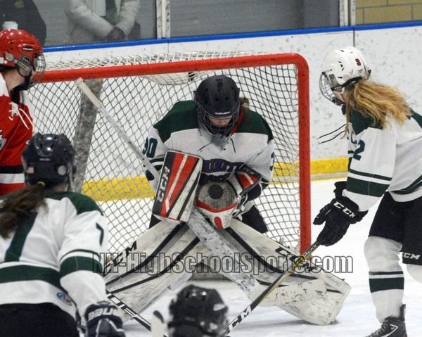 Senko, Bishop Brady-Trinity-West girls hockey advance with win over Pinkerton (video)