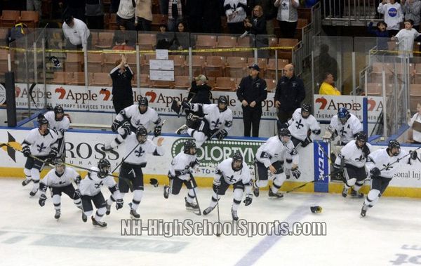 St. Thomas boys hockey holds off Dover to win first D2 championship