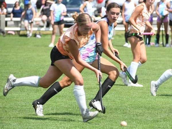 No shortage of contenders in D2 field hockey this season