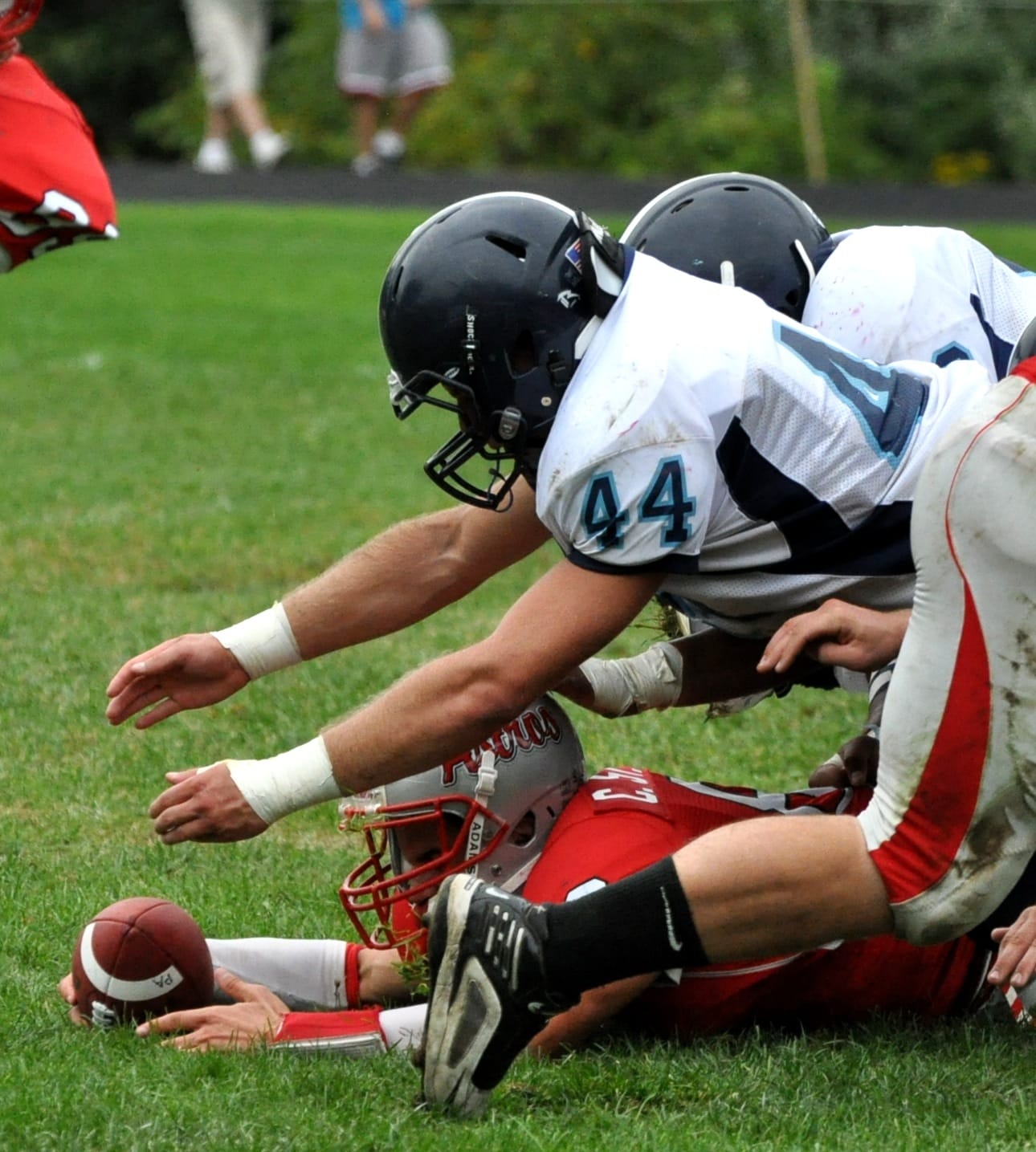 PinkNorthFball0918 NN44-2