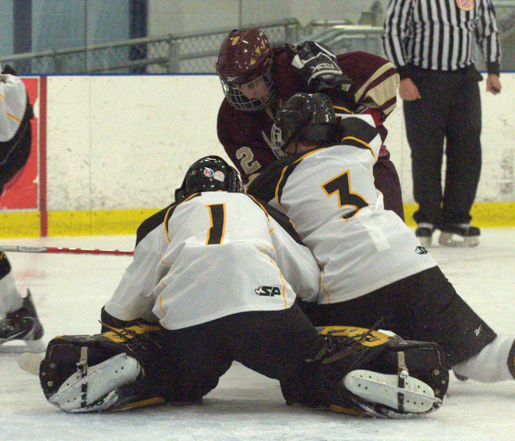 AlvSHShockey1218 A2&S1&3