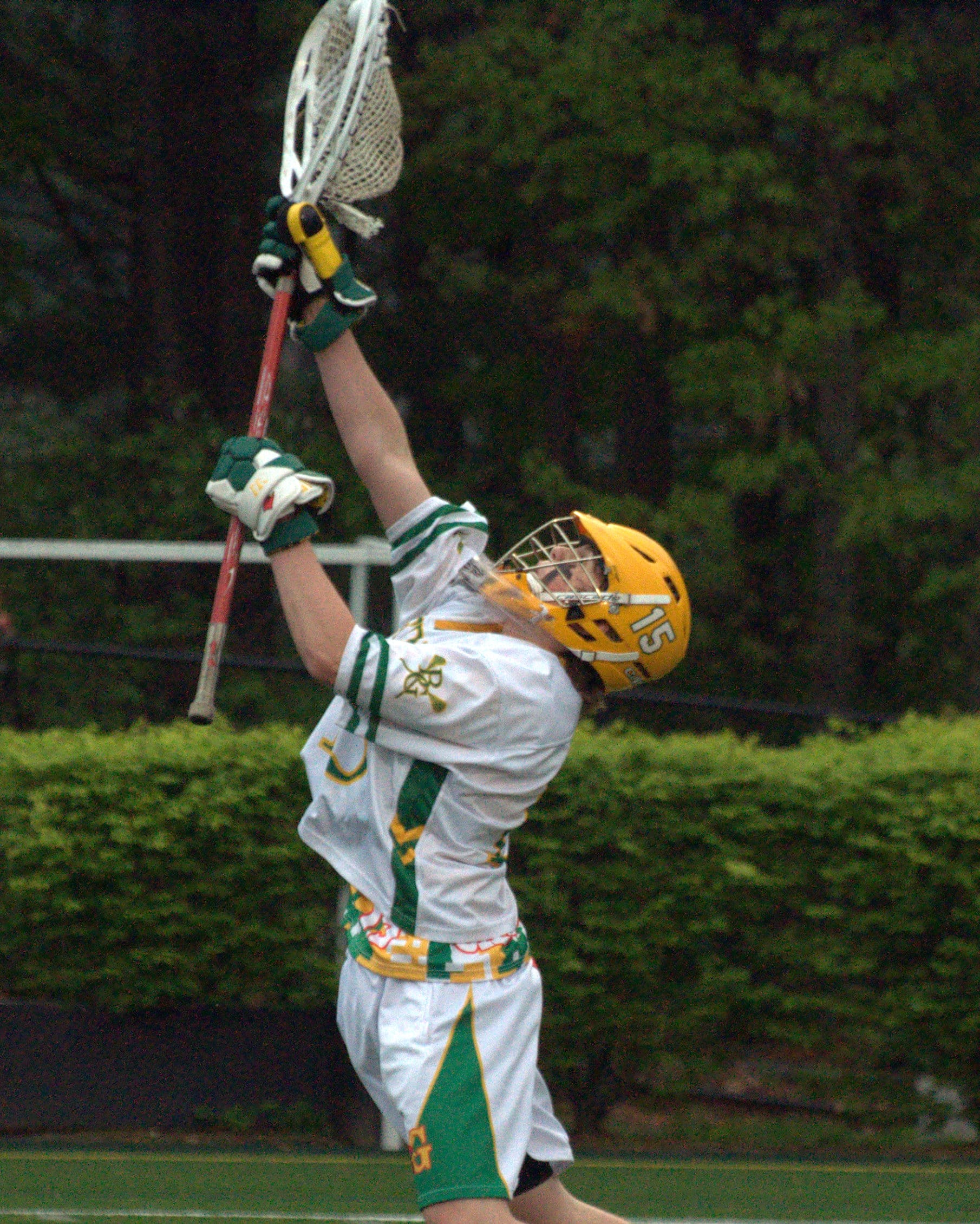 PABGlax1051412 B15-3