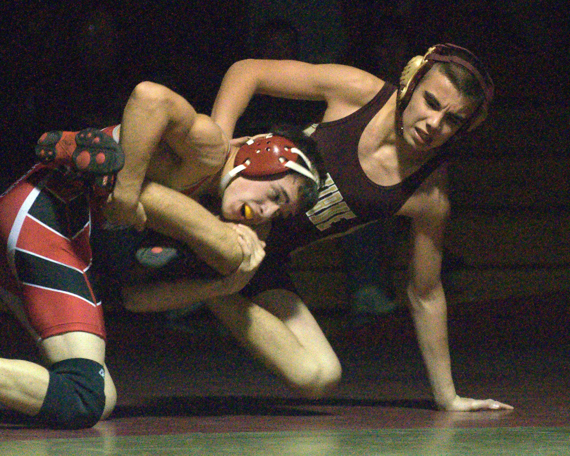 BedAlvWrestling120512 BValeriAPlant1