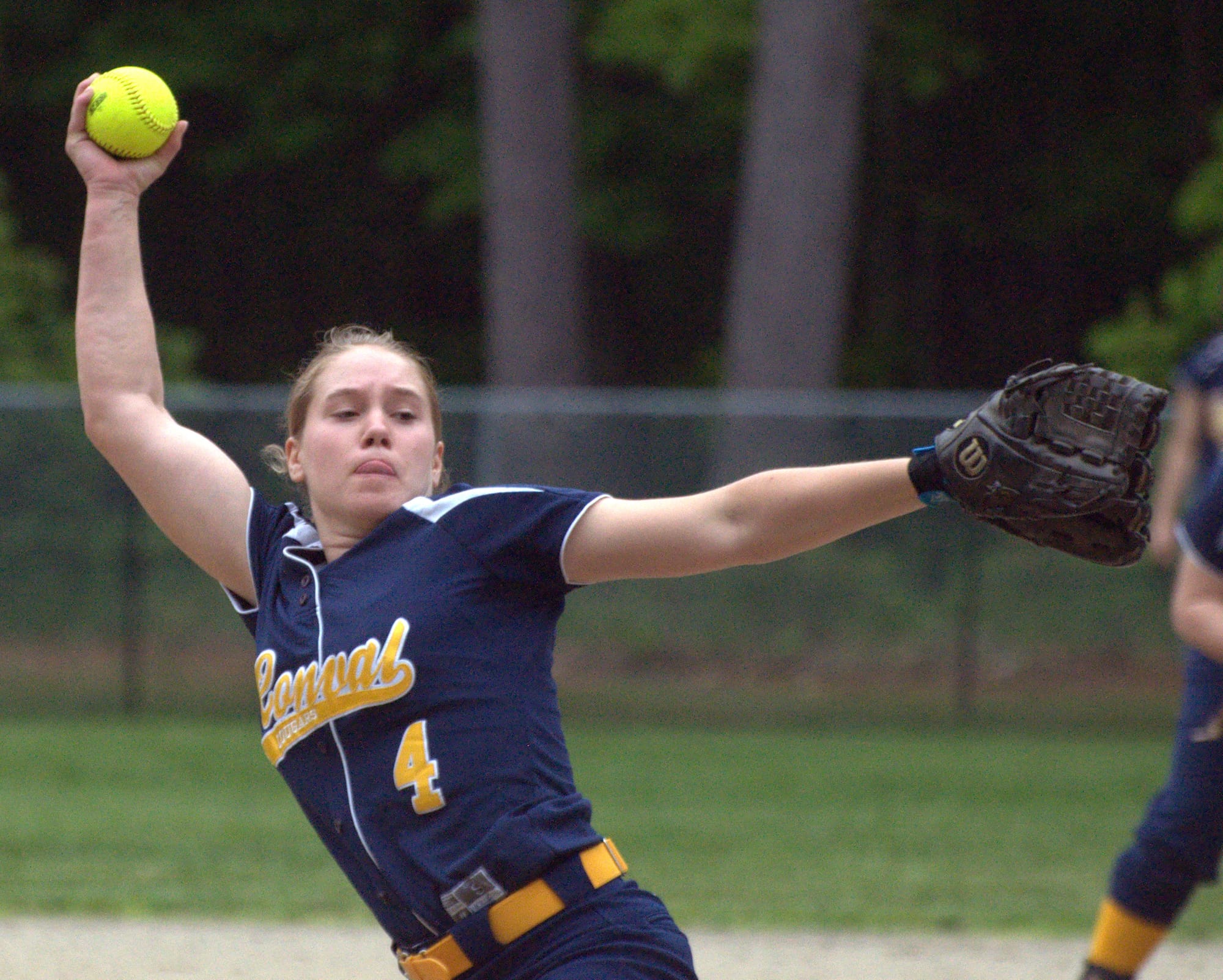 ConVal's Courtney Fisher was named the Division II Pitcher of the Year.