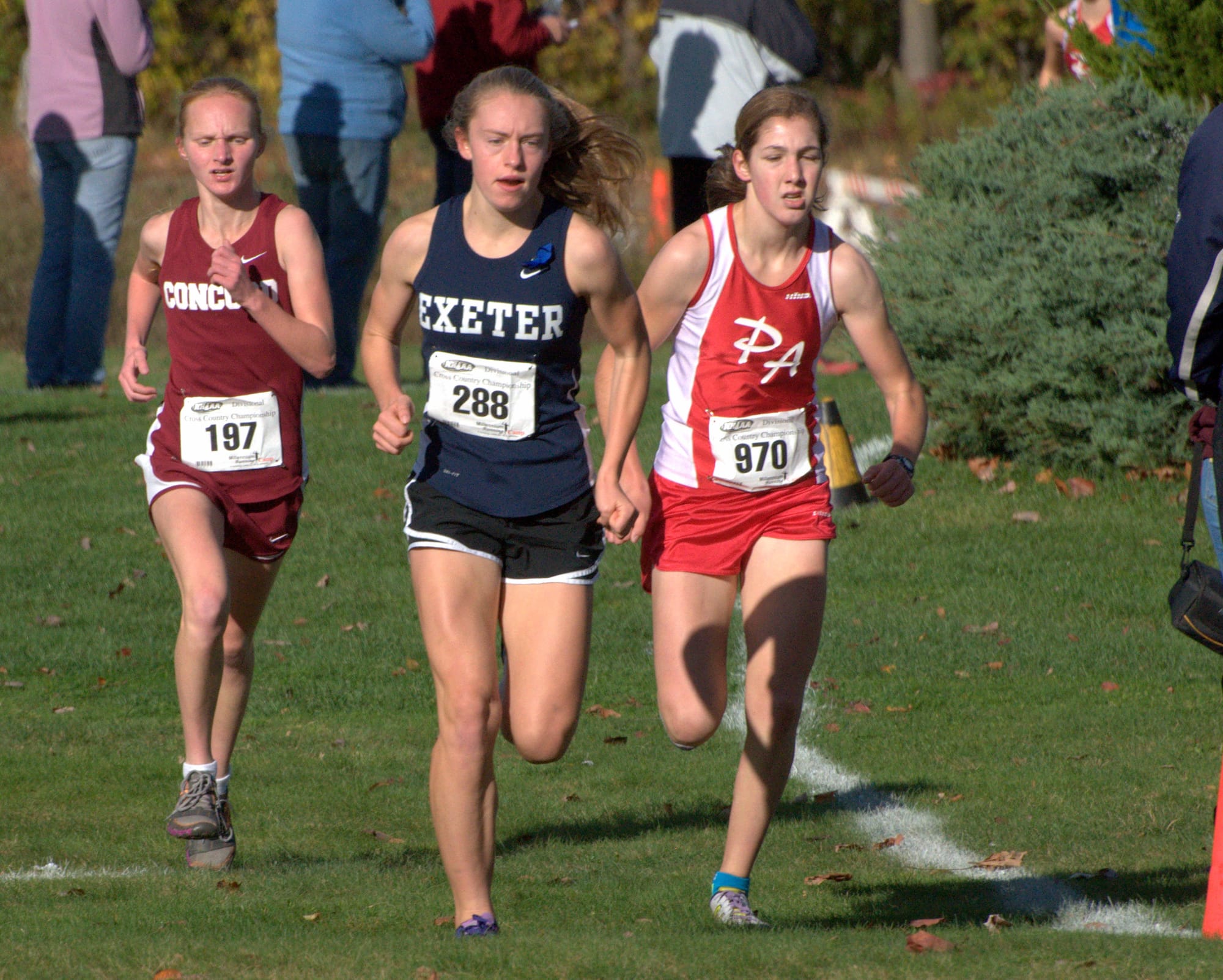 Girls cross country all-state teams.