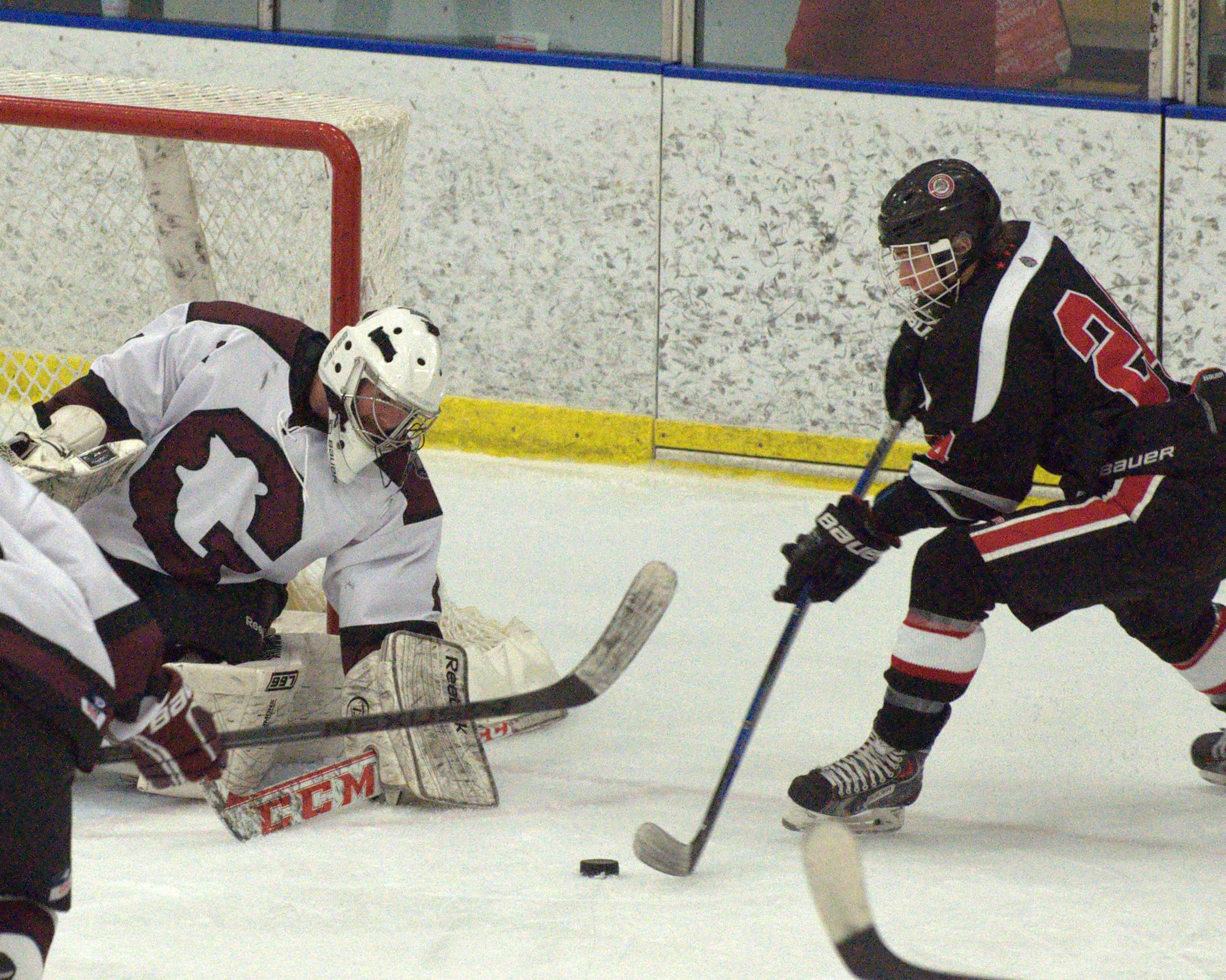 jmBedGofhockey122715 B24G1-1