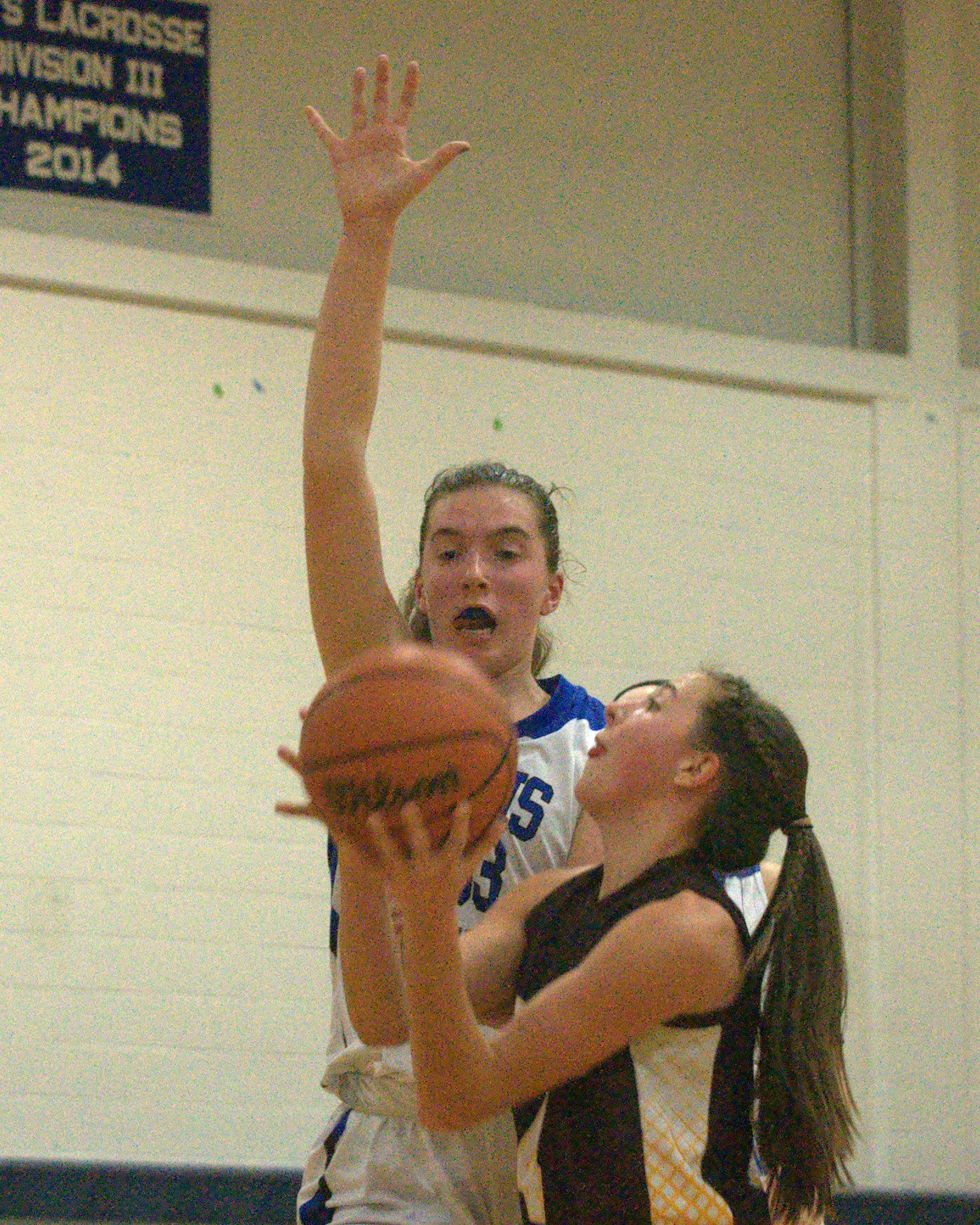 Hollis Brookline's Elizabeth Atkinson tries to block a shot by Lebanon's Madeline Hastings.