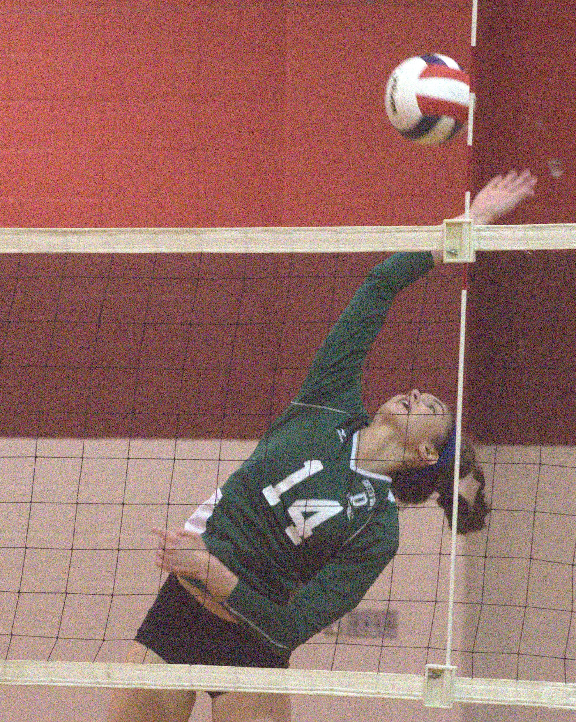 Dover's Mary Zlotosch goes up to hit a ball.