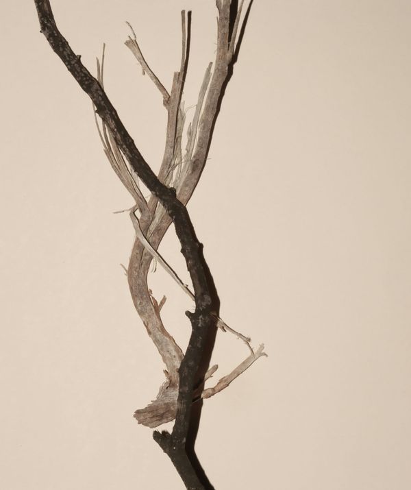 What Holds Us Together