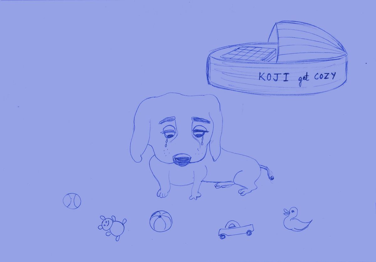 Koji-The Pup
