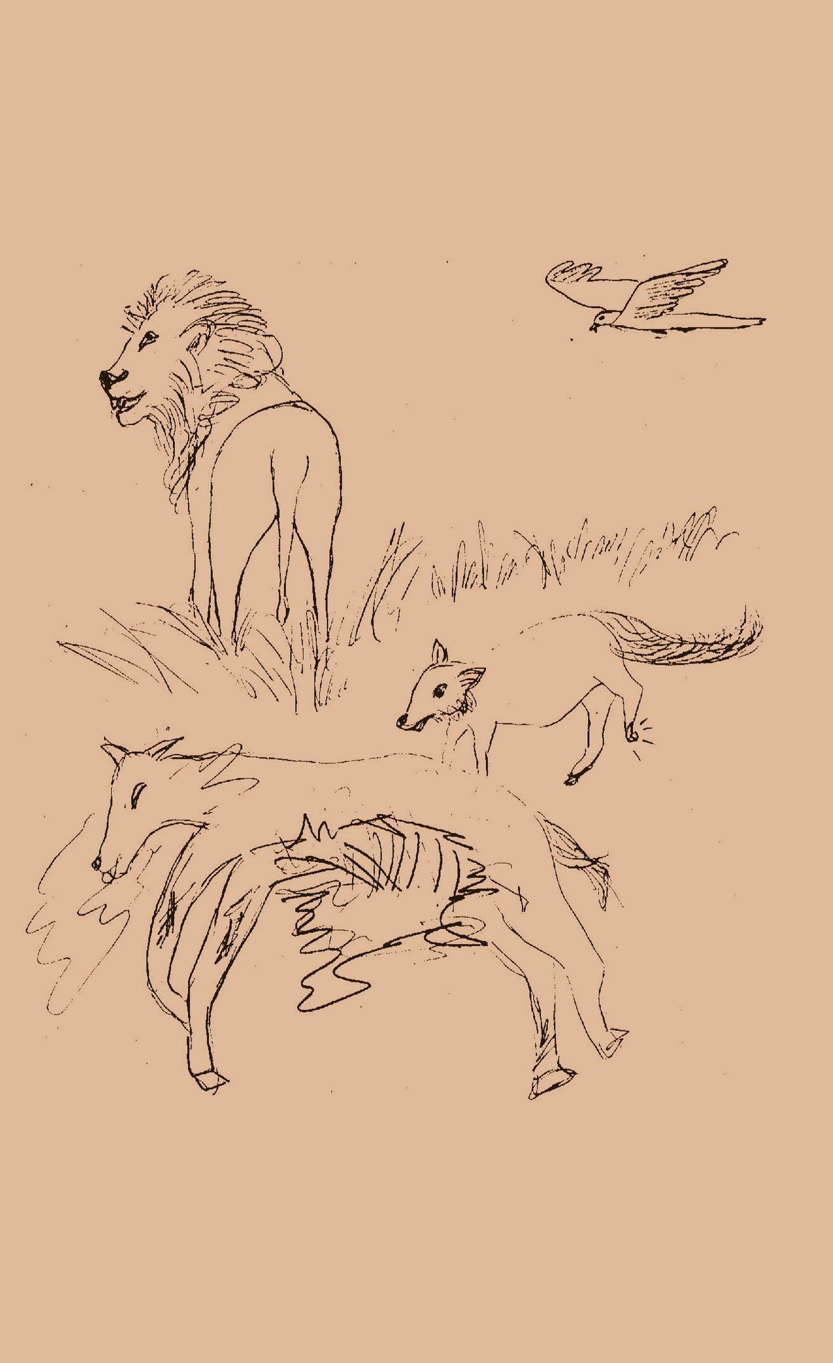 Lion Or The Lame Fox!