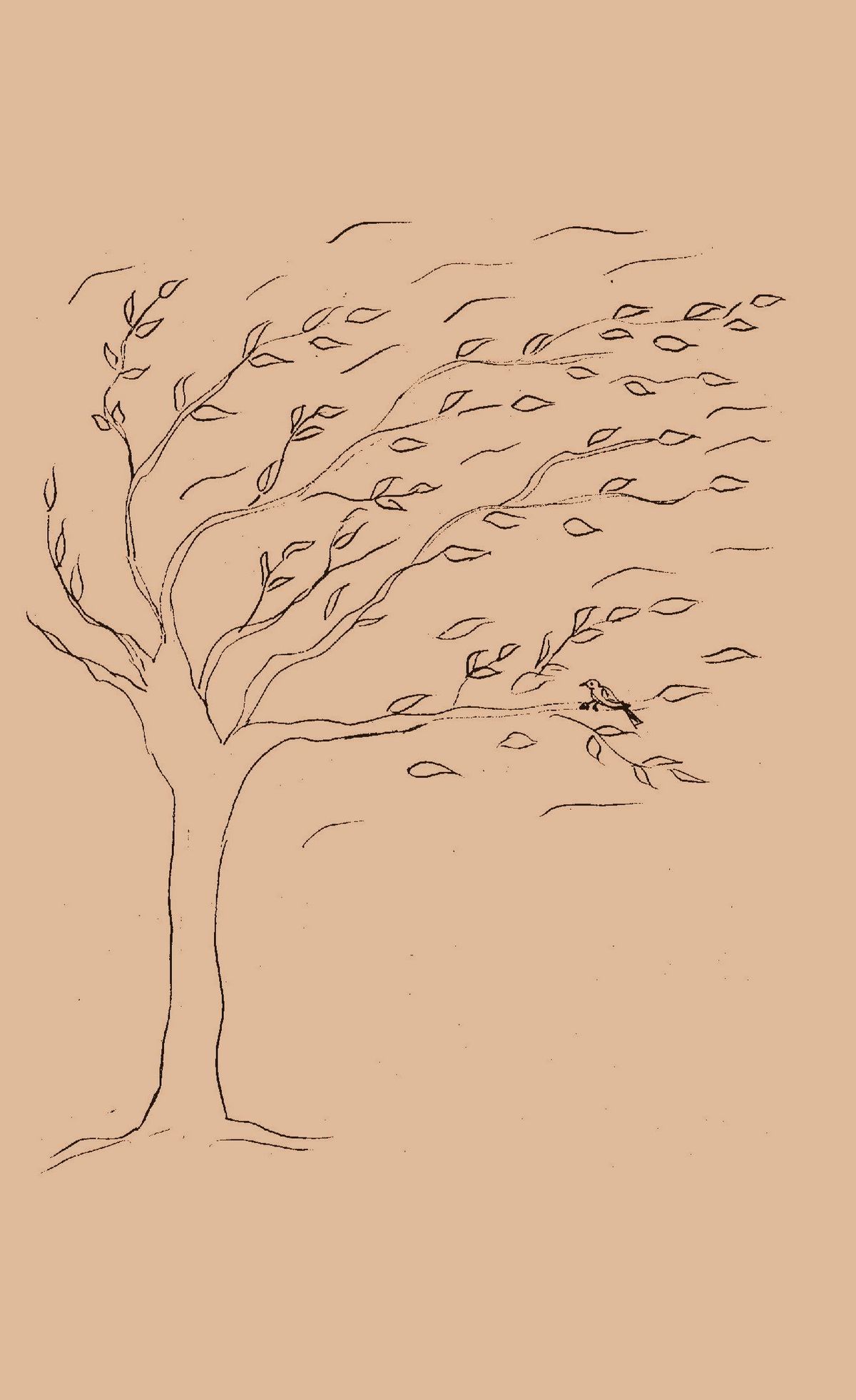 Little Sparrow!