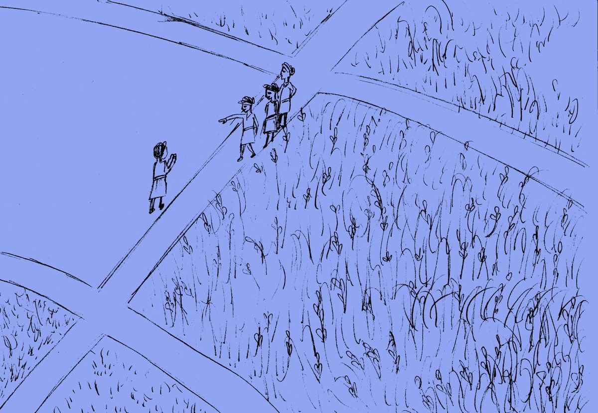 The Best Field