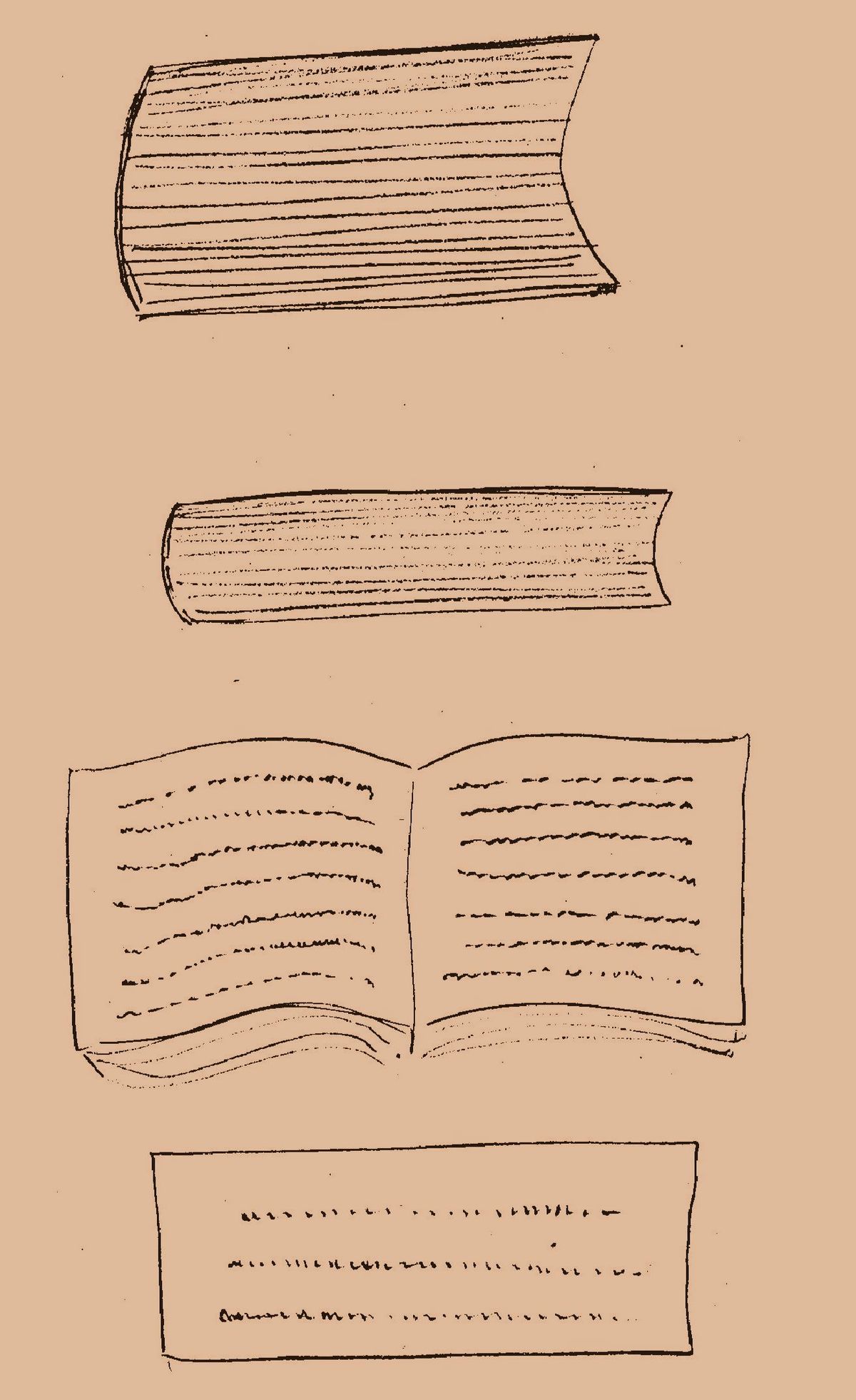 The History Of Mankind!
