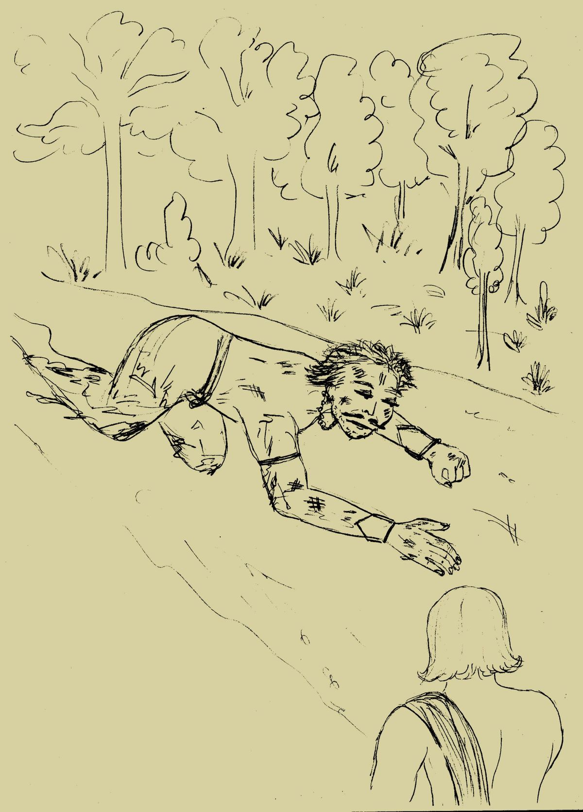 The King’S Forest Resort