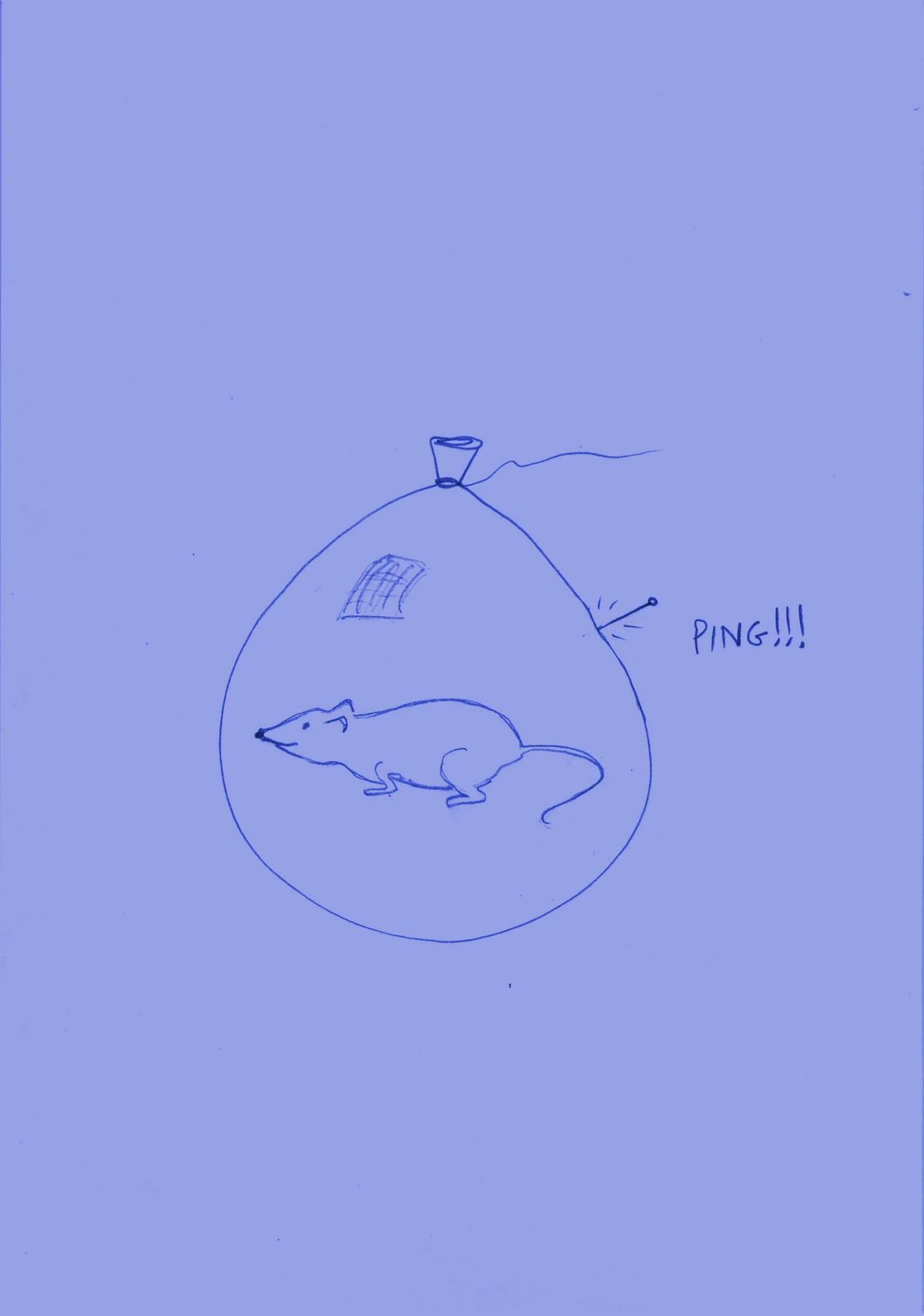 The Sage's Mouse