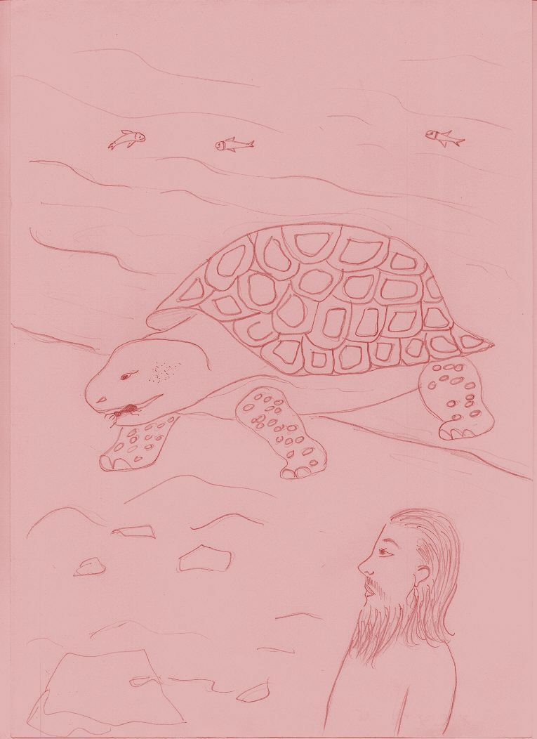 The Tortoise