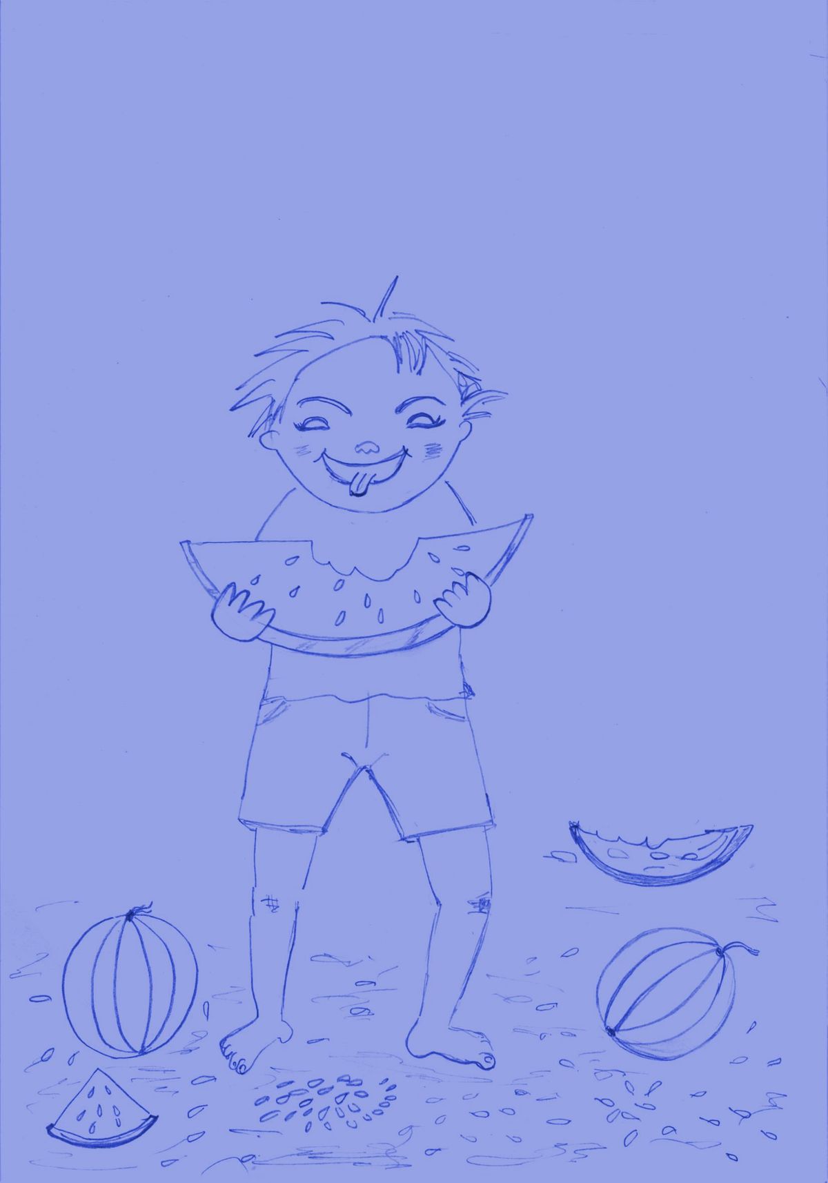 The Watermelons Of Parra