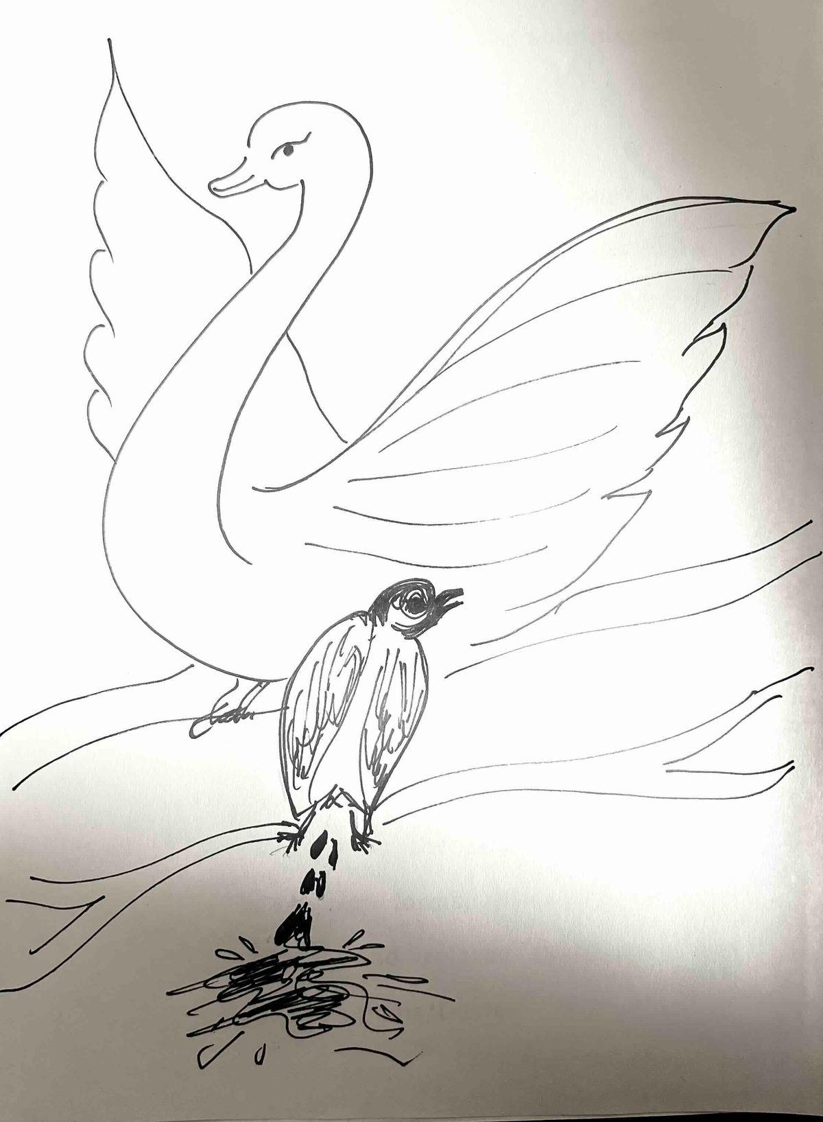 The Swans and Crows of the World