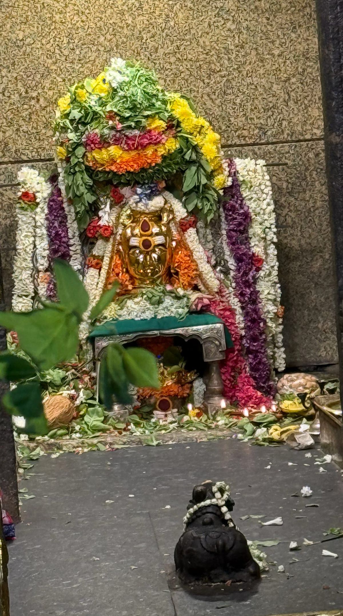 Iconic Kadu Malleshwara