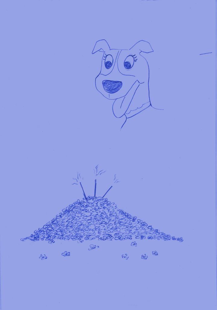 Dog-Poop