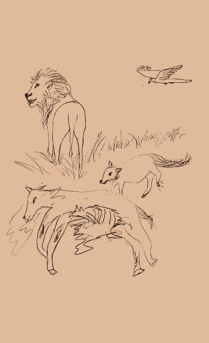 Lion Or The Lame Fox!